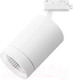 Миниатюра изображения товара Трековый светильник Lightstar Canno 303262