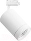 Миниатюра изображения товара Трековый светильник Lightstar Canno 303262