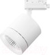 Миниатюра изображения товара Трековый светильник Lightstar Canno 301264