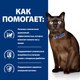 Миниатюра изображения товара Сухой корм для кошек Hill's Prescription Diet Diabetes/Weight Management m/d (1.5кг)