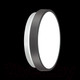 Миниатюра изображения товара Светильник Sonex Smalli 3012/AL