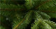 Миниатюра изображения товара Ель искусственная GreenTerra Натурелли (2.2м)