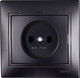 Миниатюра изображения товара Розетка Lezard Mira 701-4242-121