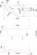 Миниатюра изображения товара Ванна акриловая 1Марка Piccolo 150x75 R