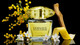 Миниатюра изображения товара Туалетная вода Versace Yellow Diamond (50мл)