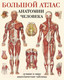Миниатюра изображения товара Книга АСТ Большой атлас анатомии человека (Махиянова Е.)