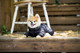 Миниатюра изображения товара Комбинезон для животных Puppia Jumpesuit B / PAPD-JM1673-BK-M (черный)