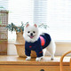 Миниатюра изображения товара Свитер для животных Puppia Blaze / PATD-TS1752-NY-S (синий)