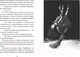 Миниатюра изображения товара Художественная книга Азбука Ведьмина служба доставки. Кики и ее любовь. Книга 4 (Кадоно Э.)