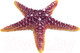 Миниатюра изображения товара Декорация для аквариума Laguna Морская звезда / 74004166
