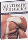 Миниатюра изображения товара Книга АСТ Анатомия человека. Тело. Как это работает (Абрахамс П.)