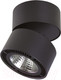Миниатюра изображения товара Спот Lightstar Forte Muro 213817
