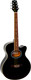 Миниатюра изображения товара Акустическая гитара Aris JS-40C BK