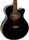 Миниатюра изображения товара Акустическая гитара Aris JS-40C BK