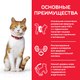 Миниатюра изображения товара Сухой корм для кошек Hill's Science Plan Young Adult Sterilised Cat Chicken / 604180 (10кг)