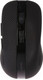 Миниатюра изображения товара Мышь Qumo Office Comfort M18