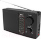 Миниатюра изображения товара Радиоприемник Ritmix RPR-195