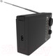 Миниатюра изображения товара Радиоприемник Ritmix RPR-195