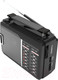 Миниатюра изображения товара Радиоприемник Ritmix RPR-190