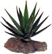 Миниатюра изображения товара Декорация для террариума Lucky Reptile Tiger Aloe / IF-82
