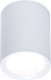 Миниатюра изображения товара Точечный светильник Ambrella TN215 WH/S