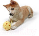 Миниатюра изображения товара Игрушка для собак Petit Chew toy Milo / 309/449493 (желтый)