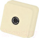 Миниатюра изображения товара Розетка Gunsan Misya 01 05 12 00 100 122 (кремовый)