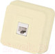 Миниатюра изображения товара Розетка Gunsan Misya 01 05 12 00 100 129 (кремовый)