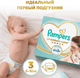 Миниатюра изображения товара Подгузники детские Pampers Premium Care 3 Midi (148шт)