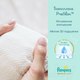 Миниатюра изображения товара Подгузники детские Pampers Premium Care 3 Midi (148шт)