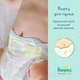 Миниатюра изображения товара Подгузники детские Pampers Premium Care 3 Midi (148шт)