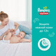 Миниатюра изображения товара Подгузники-трусики детские Pampers Pants 6 (14шт)