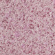 Миниатюра изображения товара Жидкие обои Silk Plaster Виктория 713