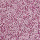 Миниатюра изображения товара Жидкие обои Silk Plaster Сауф 948