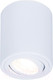 Миниатюра изображения товара Точечный светильник Ambrella TN225 WH (белый)