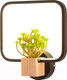 Миниатюра изображения товара Бра Home Light Астерия C056-4-B (черный)