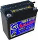 Миниатюра изображения товара Мотоаккумулятор Tyumen Battery Лидер 6МТС-10 / 00-00001634 (10 А/ч)