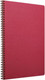 Миниатюра изображения товара Блокнот Clairefontaine AgeBag / 781420С (красный)