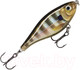 Миниатюра изображения товара Воблер Rapala X-Rap Twichin' Shad / XRTS08-GGIU