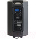 Миниатюра изображения товара Сценический монитор Audiophony ATOM10A