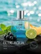 Миниатюра изображения товара Туалетная вода Dilis Blue Aqua (100мл)