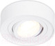 Миниатюра изображения товара Точечный светильник Ambrella MR16 TN150 WH (белый)