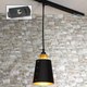 Миниатюра изображения товара Трековый светильник Lussole Loft Track Lights LSP-9861-TAB