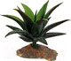 Миниатюра изображения товара Декорация для террариума Lucky Reptile Succulent / IF-90