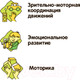 Миниатюра изображения товара Развивающая игра Bondibon Найди Меня! / ВВ4190