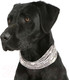 Миниатюра изображения товара Галстук-бабочка для собак Scruffs Insect Shield Dog Snood / 937102 (M)