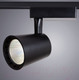 Миниатюра изображения товара Трековый светильник Arte Lamp Atillo A2324PL-1BK