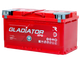 Миниатюра изображения товара Автомобильный аккумулятор Gladiator EFB R+ (110 А/ч)