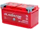Миниатюра изображения товара Автомобильный аккумулятор Gladiator EFB R+ (95 А/ч)
