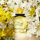 Миниатюра изображения товара Парфюмерная вода Dolce&Gabbana Dolce Shine for Women (75мл)
